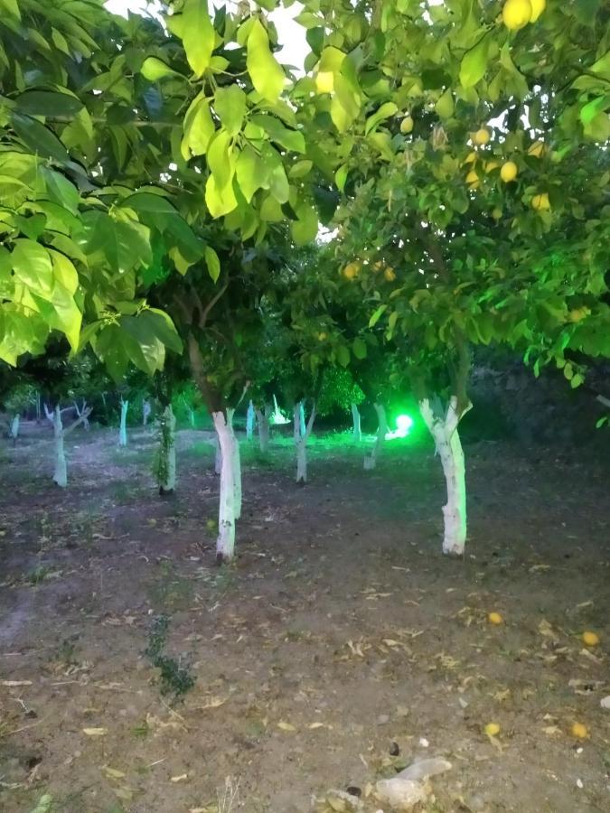 Περιβόλι Του Οδυσσέα Villa Volissos Dış mekan fotoğraf
