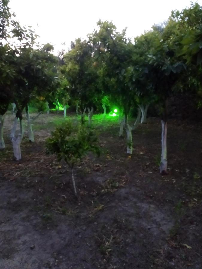 Περιβόλι Του Οδυσσέα Villa Volissos Dış mekan fotoğraf